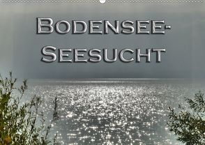 Bodensee – Seesucht (Wandkalender 2020 DIN A2 quer) von Brinker,  Sabine