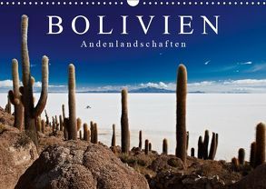 Bolivien Andenlandschaften „CH-Version“ (Wandkalender 2019 DIN A3 quer) von Ritterbach,  Jürgen