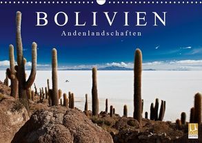 Bolivien Andenlandschaften (Wandkalender 2019 DIN A3 quer) von Ritterbach,  Jürgen
