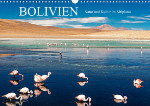 Bolivien – Natur und Kultur im Altiplano (Wandkalender 2023 DIN A3 quer) von Müller,  Harry
