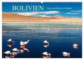 Bolivien – Natur und Kultur im Altiplano (Wandkalender 2024 DIN A2 quer), CALVENDO Monatskalender von Müller,  Harry