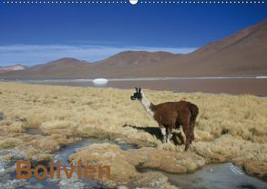 Bolivien (Wandkalender 2019 DIN A2 quer) von Alboter