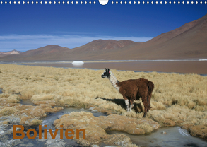Bolivien (Wandkalender 2020 DIN A3 quer) von Alboter