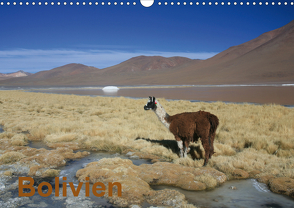 Bolivien (Wandkalender 2021 DIN A3 quer) von Alboter