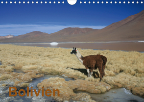 Bolivien (Wandkalender 2021 DIN A4 quer) von Alboter