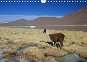 Bolivien (Wandkalender 2022 DIN A4 quer) von Alboter