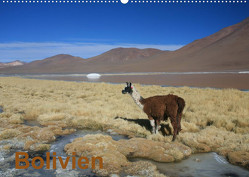 Bolivien (Wandkalender 2023 DIN A2 quer) von Alboter