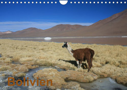 Bolivien (Wandkalender 2023 DIN A4 quer) von Alboter