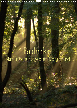 Bolmke – Naturschutzgebiet Dortmund (Wandkalender 2023 DIN A3 hoch) von Groovin,  Heike