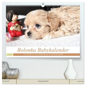 Bolonka Babykalender 2024 (hochwertiger Premium Wandkalender 2024 DIN A2 quer), Kunstdruck in Hochglanz von Katharina Tessnow,  Antonia