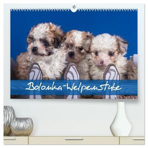 Bolonka Welpenstube (hochwertiger Premium Wandkalender 2024 DIN A2 quer), Kunstdruck in Hochglanz von Wejat-Zaretzke,  Gabriela