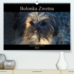 Bolonka Zwetna 2023 (Premium, hochwertiger DIN A2 Wandkalender 2023, Kunstdruck in Hochglanz) von Katharina Tessnow,  Antonia