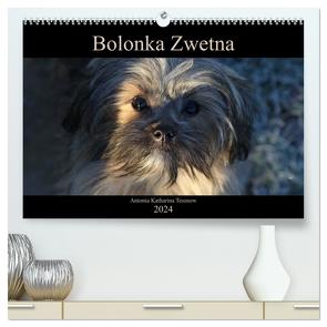 Bolonka Zwetna 2024 (hochwertiger Premium Wandkalender 2024 DIN A2 quer), Kunstdruck in Hochglanz von Katharina Tessnow,  Antonia