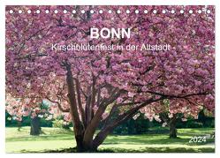 Bonn – Kirschblütenfest in der Altstadt (Tischkalender 2024 DIN A5 quer), CALVENDO Monatskalender von Reif,  Wolfgang