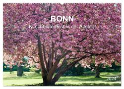 Bonn – Kirschblütenfest in der Altstadt (Wandkalender 2024 DIN A2 quer), CALVENDO Monatskalender von Reif,  Wolfgang