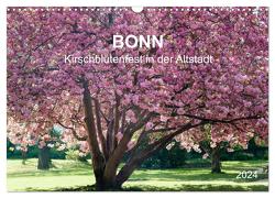Bonn – Kirschblütenfest in der Altstadt (Wandkalender 2024 DIN A3 quer), CALVENDO Monatskalender von Reif,  Wolfgang