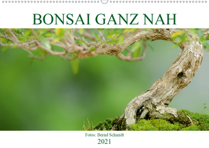 Bonsai ganz nah (Wandkalender 2021 DIN A2 quer) von Schmidt,  Bernd
