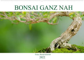 Bonsai ganz nah (Wandkalender 2022 DIN A2 quer) von Schmidt,  Bernd