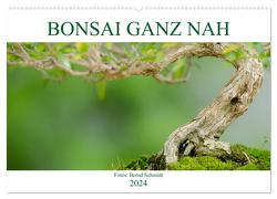 Bonsai ganz nah (Wandkalender 2024 DIN A2 quer), CALVENDO Monatskalender von Schmidt,  Bernd