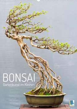 Bonsai: Gartenkunst im Kleinen (Wandkalender 2023 DIN A2 hoch) von CALVENDO