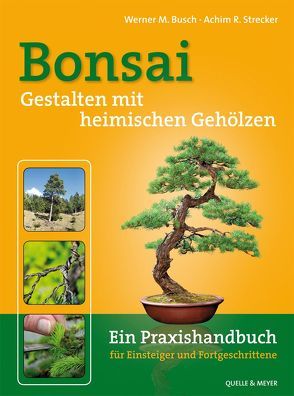 Bonsai – Gestalten mit heimischen Gehölzen von Busch,  Werner M., Strecker,  Achim R.