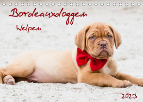 Bordeauxdoggen Welpen (Tischkalender 2023 DIN A5 quer) von Kassat Fotografie,  Nicola