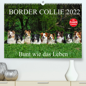 Border Collie 2022 (Premium, hochwertiger DIN A2 Wandkalender 2022, Kunstdruck in Hochglanz) von Starick,  Sigrid
