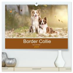 Border Collie – Bunt und clever! (hochwertiger Premium Wandkalender 2024 DIN A2 quer), Kunstdruck in Hochglanz von Mayer Tierfotografie,  Andrea