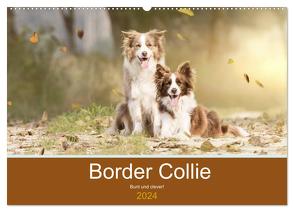 Border Collie – Bunt und clever! (Wandkalender 2024 DIN A2 quer), CALVENDO Monatskalender von Mayer Tierfotografie,  Andrea