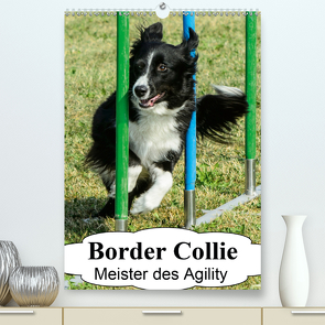 Border Collie Meister des Agility (Premium, hochwertiger DIN A2 Wandkalender 2021, Kunstdruck in Hochglanz) von homwico