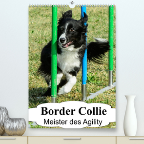 Border Collie Meister des Agility (Premium, hochwertiger DIN A2 Wandkalender 2022, Kunstdruck in Hochglanz) von homwico