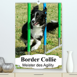 Border Collie Meister des Agility (Premium, hochwertiger DIN A2 Wandkalender 2023, Kunstdruck in Hochglanz) von homwico