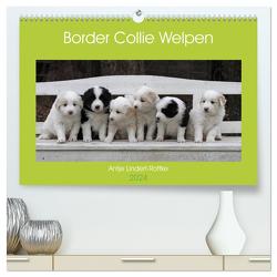 Border Collie Welpen (hochwertiger Premium Wandkalender 2024 DIN A2 quer), Kunstdruck in Hochglanz von Lindert-Rottke,  Antje