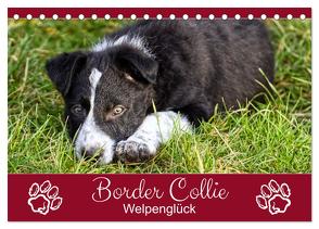 Border Collie – Welpenglück (Tischkalender 2024 DIN A5 quer), CALVENDO Monatskalender von Löwer,  Sabine