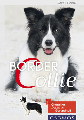 Border Collie von Franck,  Rolf C.