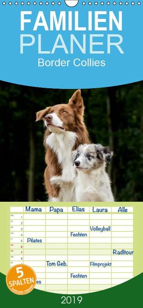 Border Collies 2019 – Familienplaner hoch (Wandkalender 2019 , 21 cm x 45 cm, hoch) von Hemlep,  Christine