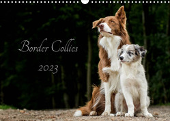 Border Collies 2023 (Wandkalender 2023 DIN A3 quer) von Hemlep,  Christine