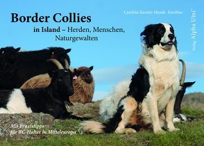 Border Collies in Island – Herden, Menschen, Naturgewalten von Mende,  Caroline Kerstin