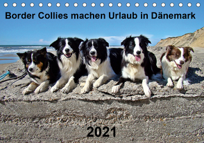 Border Collies machen Urlaub in Dänemark (Tischkalender 2021 DIN A5 quer) von Busch,  Eva