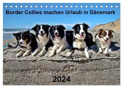 Border Collies machen Urlaub in Dänemark (Tischkalender 2024 DIN A5 quer), CALVENDO Monatskalender von Busch,  Eva