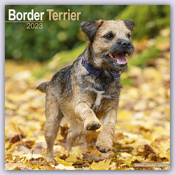 Border Terrier 2023 – 16-Monatskalender
