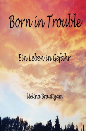 Born in Trouble von Bräutigam,  Melina