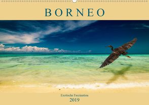 Borneo – Exotische Faszination (Wandkalender 2019 DIN A2 quer) von Wünsche,  Arne