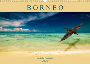 Borneo – Exotische Faszination (Wandkalender 2020 DIN A3 quer) von Wünsche,  Arne