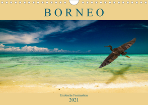 Borneo – Exotische Faszination (Wandkalender 2021 DIN A4 quer) von Wünsche,  Arne