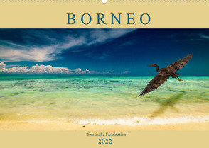 Borneo – Exotische Faszination (Wandkalender 2022 DIN A2 quer) von Wünsche,  Arne