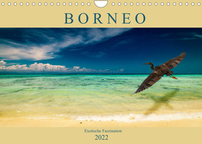 Borneo – Exotische Faszination (Wandkalender 2022 DIN A4 quer) von Wünsche,  Arne