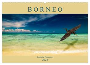 Borneo – Exotische Faszination (Wandkalender 2024 DIN A2 quer), CALVENDO Monatskalender von Wünsche,  Arne