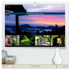 Borneo – Tierparadies Regenwald (hochwertiger Premium Wandkalender 2024 DIN A2 quer), Kunstdruck in Hochglanz von Herzog,  Michael