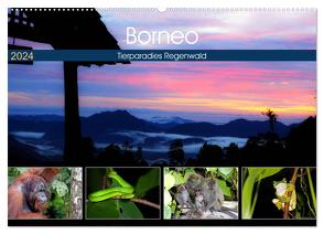 Borneo – Tierparadies Regenwald (Wandkalender 2024 DIN A2 quer), CALVENDO Monatskalender von Herzog,  Michael
